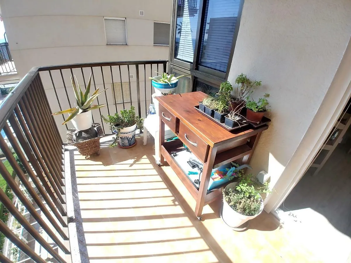 Apartamento Apartamento Caléndula Almuñécar España